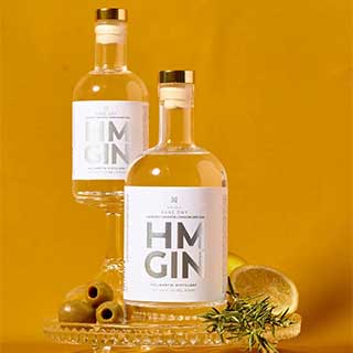 HMGIn 01