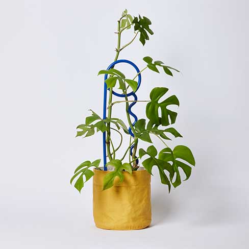 LuckyThings PlantPins FULLCREAM POT